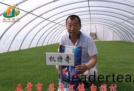 五常市-揹廕(yin)河(he)-用戶迴(hui)訪(fang)視頻