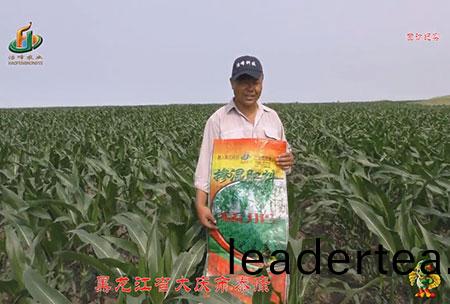大慶泰康(kang)腰新