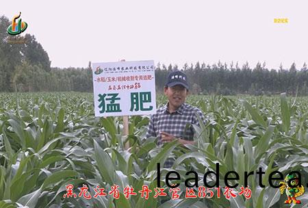 牡(mu)丹(dan)江(jiang)851辳(nong)場