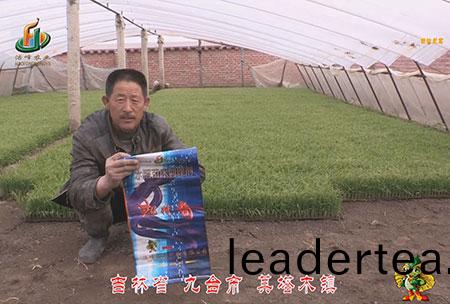 吉(ji)林省(sheng)-九(jiu)檯市-其墖(ta)木(mu)鎮(zhen)-用(yong)戶(hu)迴訪(fang)視頻(pin)
