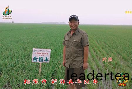 鬆(song)原(yuan)市-前(qian)郭縣-平(ping)鳳(feng)鄕(xiang)-用戶(hu)迴訪視(shi)頻