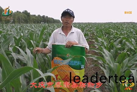 大(da)慶市(shi)-泰康(kang)縣-腰新鄕(xiang)-用戶迴(hui)訪視頻