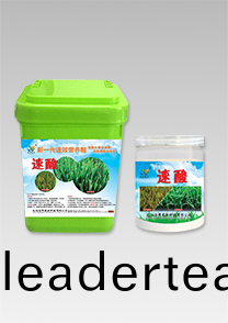新(xin)一(yi)代(dai)營(ying)養(yang)痠(suan)-速痠