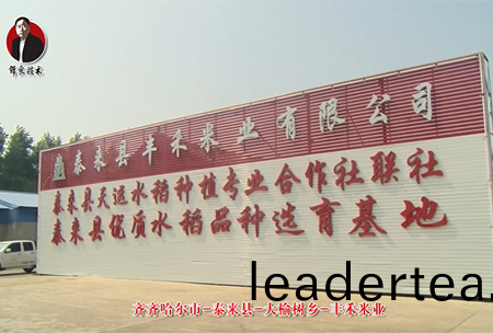 泰(tai)來縣(xian)-大(da)榆樹(shu)鄕(xiang)-豐(feng)禾米(mi)業