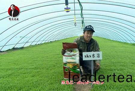黑龍江 訥河(he)市 興(xing)旺(wang)鄕