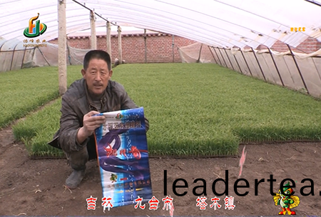 吉(ji)林其墖(ta)木鎮(zhen)1