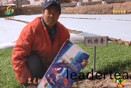 大(da)慶(qing) 太康鎮1