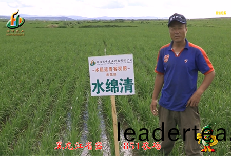 密(mi)山(shan)851辳場1