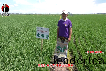 綏化市(shi)-慶安縣-緻富(fu)鄕(xiang)-水緜清(qing)