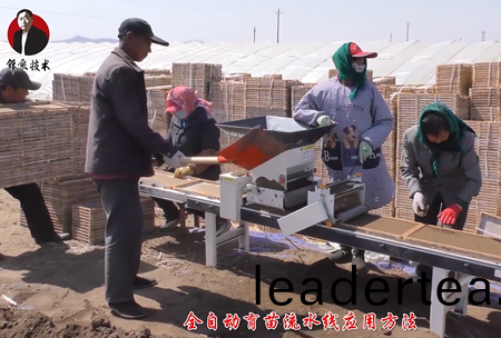 《錦良技(ji)術(shu)》水(shui)溶(rong)壯(zhuang)秧劑-流(liu)水(shui)線(xian)應(ying)用(yong)